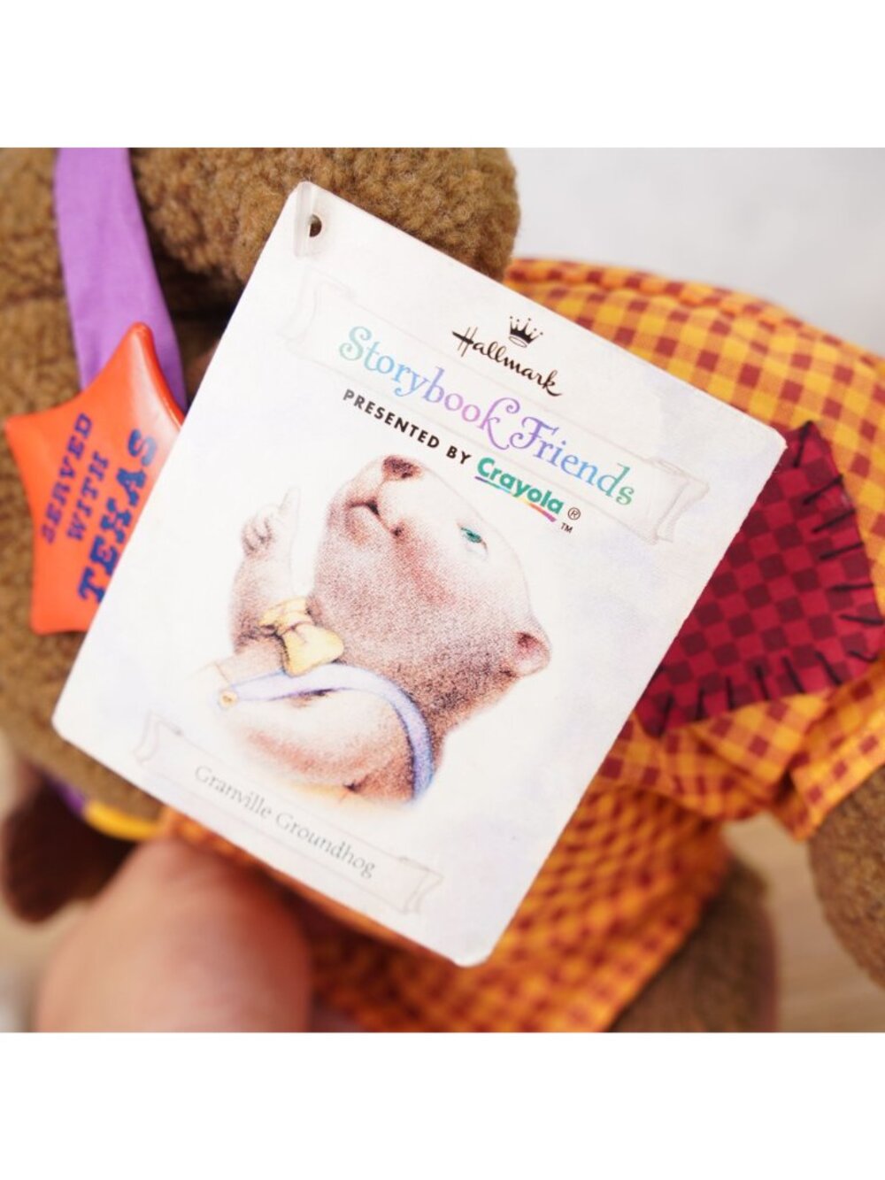 VTG 1997 Hallmark Storybook Friends Crayola Granville Groundhog Plush 12” New - Picture 9 of 12